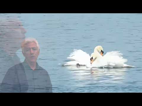 Видео: "Рассвет" - Андрей Суворов Байкальский