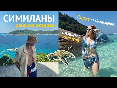 Видео: VLOG: СИМИЛАНСКИЕ ОСТРОВА - экскурсии на Пхукете | Таиланд