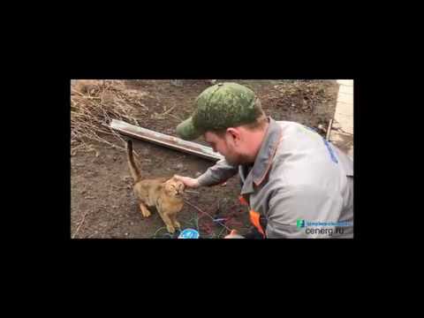 Видео: Измерение сопротивления заземляющего устройства