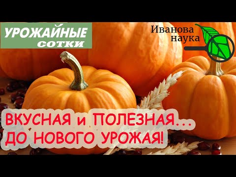 Видео: ВСЕ СЕКРЕТЫ РАСКРЫТЫ! КАК СОХРАНИТЬ ВКУСНУЮ ТЫКВУ ДО... НОВОГО УРОЖАЯ!