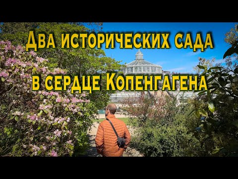 Видео: Vlog 560 - Два исторических сада в сердце Копенгагена