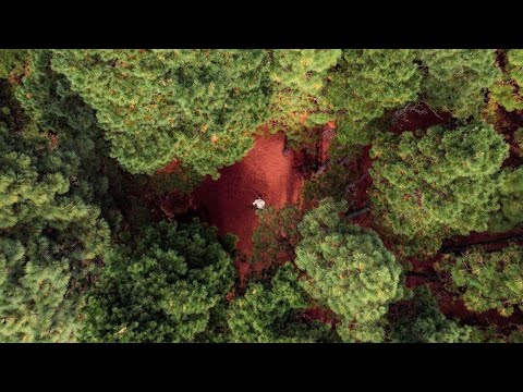 Видео: Где проводить старость? Эль Йерро | Канарские острова | #БЕЗВИЗ - 5 сезон