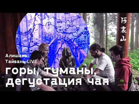 Видео: Тайвань LIVE. Алишань. Горы, туманы, дегустация чая