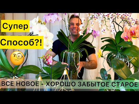 Видео: ОТКРЫТАЯ СИСТЕМА для ОРХИДЕЙ и КОРНИ НИКОГДА не будут ГНИТЬ? Так ли это? Мое мнение.