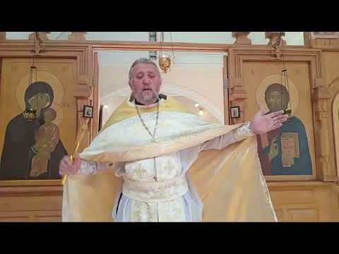 Видео: КАК ГОСПОДЬ ПРИЗЫВАЕТ НАС? Священник Игорь Сильченков.
