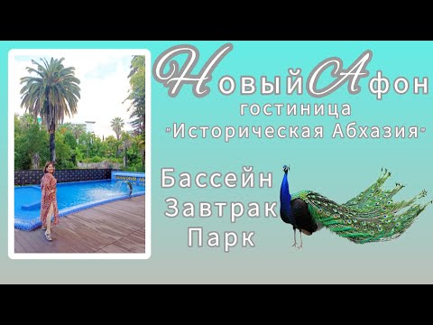 Видео: Шторм на море🌊🌊🌊🌊Завтрак 🥘 бассейн🏊‍♀️Павлин в парке 🦚Новый Афон. Абхазия🌴