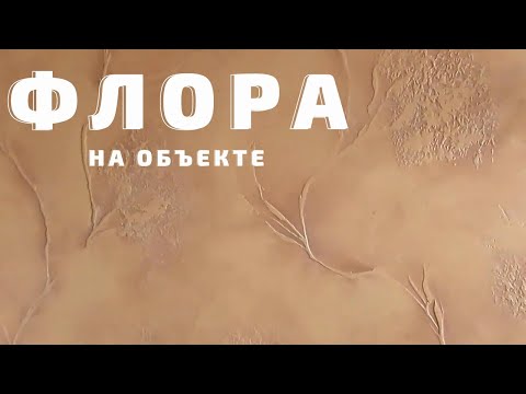 Видео: "ФЛОРА" на объекте. Секреты. Авторская декоративная штукатурка