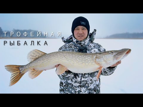Видео: Поймал здоровую щуку на заливе. Трофейная рыбалка в Финляндии. Panoptix Livescope.