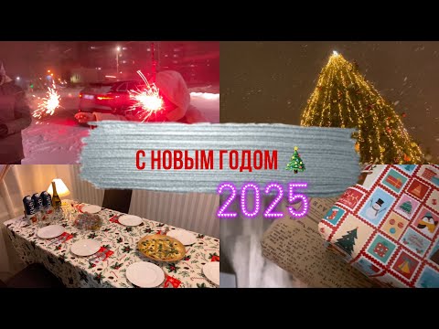 Видео: Новый 2025 год 🎄/ Заметает / Опять эти хлопушки!