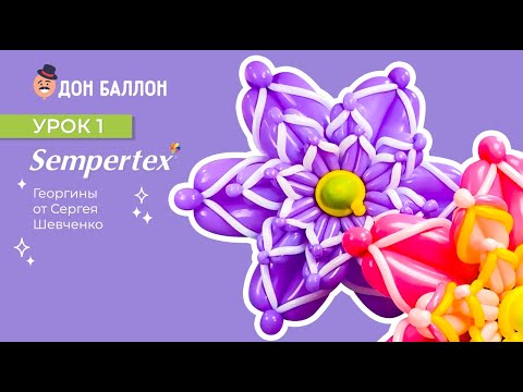 Видео: Урок 1. Георгины от художника по воздушным шарам Sempertex Сергея Шевченко