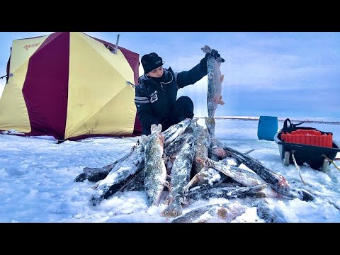 Видео: ЛЕСКА ТРЕЩИТ В РУКАХ! Щуки сошли с ума! На ПЕРВЫЙ ЛЁД через всю страну. Рыбалка н ЖЕРЛИЦЫ 2024.