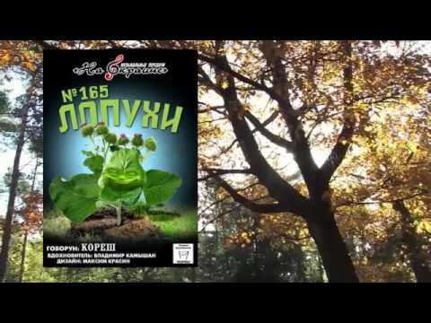 Видео: На окраине - 165 - Лопухи