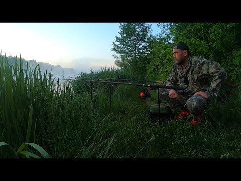 Видео: НА РЫБАЛКУ С НОЧЕВКОЙ.Красивый берег.МЯСО НА ОГНЕ.Вечер у КОСТРА и утренний ТУМАН!