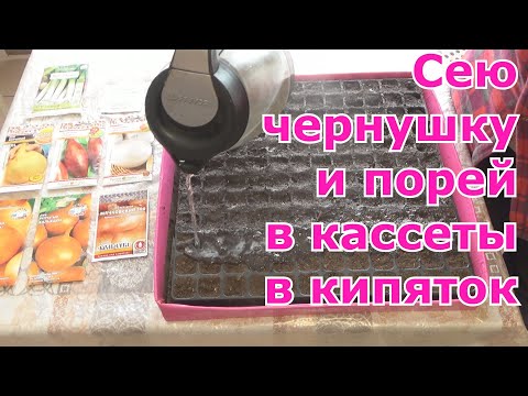 Видео: Лук репка из семян за один сезон. Часть 1. Посев чернушки, лука-порей в кассеты. Способы посева лука