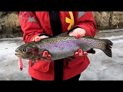 Видео: ФОРЕЛЬ на ВИБы. ЭТО НЕЗАБЫВАЕМАЯ РЫБАЛКА и МОРЕ ПОЗИТИВНЫХ ЭМОЦИЙ! ЛОВЛЯ ФОРЕЛИ на ПЛАТНИКЕ со льда.