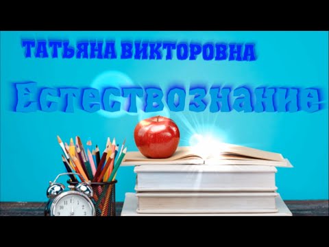 Видео: Естествознание. Что мы знаем о воде? 2 класс. Урок 16