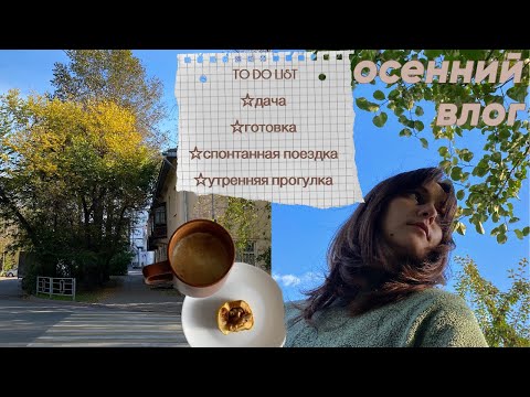 Видео: влог | встреча осени, замедление и однодневное путешествие