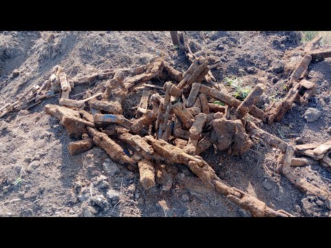 Видео: #Коп Металла!!! Одна находка сделала коп!!! Результат порадовал!!!