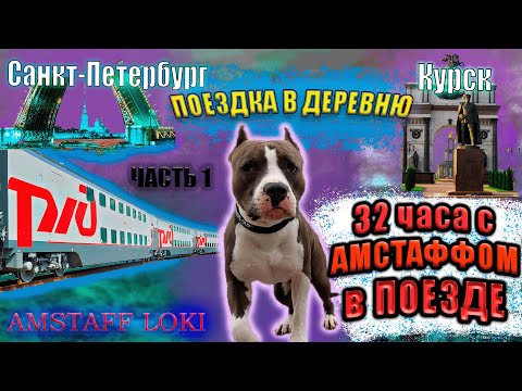 Видео: ✅ Амстафф Локи В Деревне | Часть 1