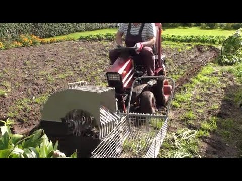 Видео: Копка картошки 2023! Digging potatoes 2023!حفنة من البطاطس!