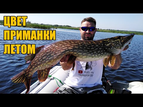 Видео: Важен ли цвет приманки на щуку летом?