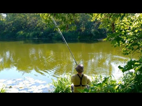 Видео: КАК РАСКЛЕВАТЬ РЫБУ ЕСЛИ ОНА НЕ ХОЧЕТ КЛЕВАТЬ В ЖАРУ. Рыбалка летом на поплавок. Рыбалка на плотву.