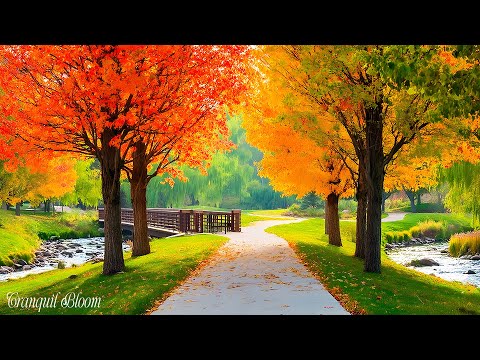 Видео: Чарующаяосенняяприрода 🍂 Красивыезвукилеса И Умиротворяющаярасслабляющаямузыка В 4K