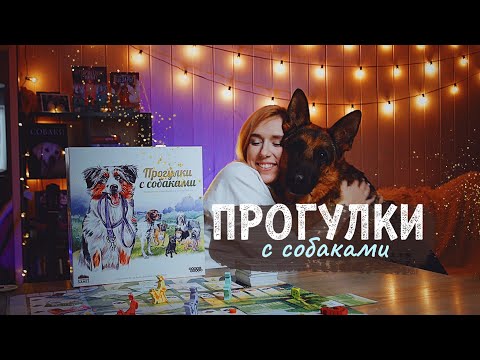 Видео: Прогулки с собаками 🐕  (обзор, мнение)