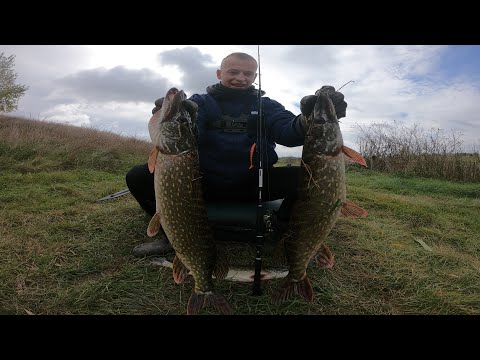 Видео: 8 щук в лодке. Ловля щуки на крупный силикон. Покажу секретный монтаж приманки!