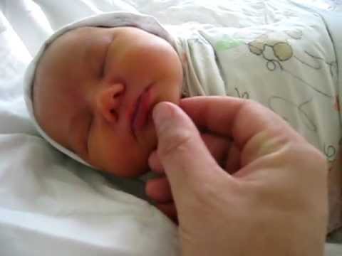 Видео: 5-й день2. Осмотрюсь- какой тут уровень жизни?Елизавета