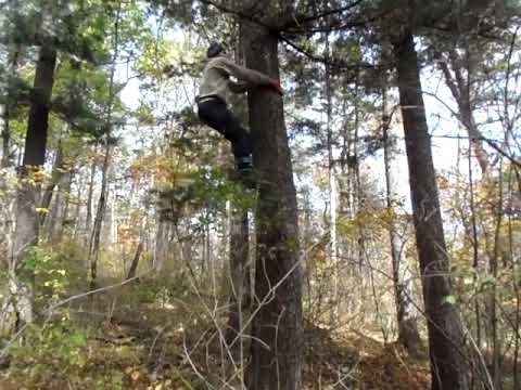 Видео: когти кедролазы часть 3