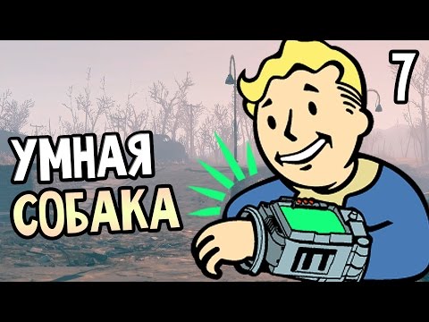 Видео: Fallout 4 Прохождение На Русском #7 — УМНАЯ СОБАКА