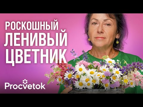 Видео: ПОСЕЙТЕ ЭТИ ЦВЕТЫ СРАЗУ В ГРУНТ, и уже в июне у вас будет клумба невероятной красоты