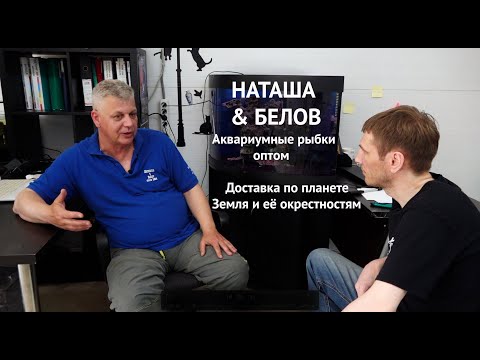 Видео: Наташа и Белов Крупнейший поставщик аквариумной рыбы