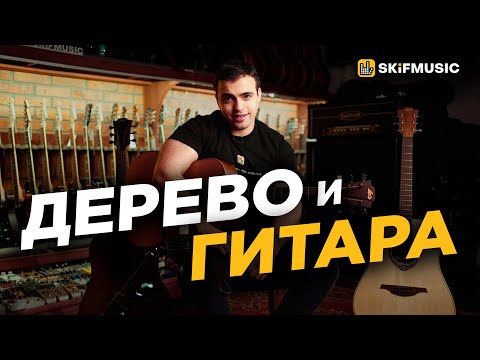 Видео: Что лучше ЕЛЬ или КЕДР? Какую гитару ВЫБРАТЬ? | SKIFMUSIC.RU