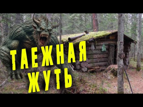 Видео: 💥/Неизвестное существо напало на зимовье охотника/