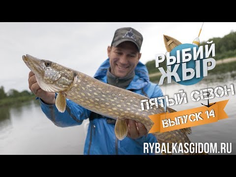 Видео: Рыбалка в Беларуси. Река Припять. Рыбий жЫр 5 сезон 14 выпуск.