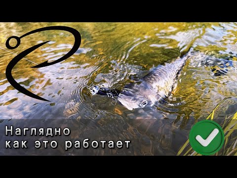 Видео: Голавль и жерех в сентябре.