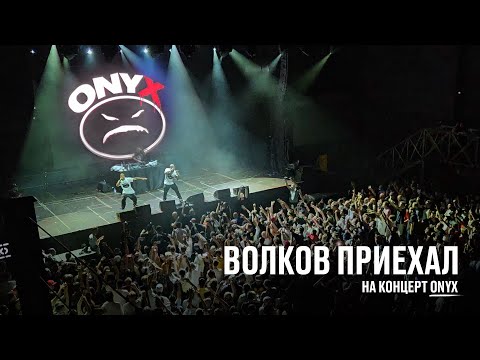 Видео: Волков приехал на концерт ONYX