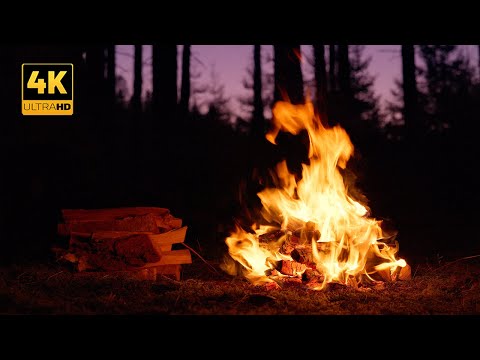 Видео: 4K 📺 Ночной лесной костер после заката - успокаивающие звуки природы