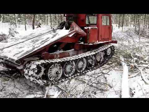 Видео: ТТ-4 в деле. Трелёвка леса.