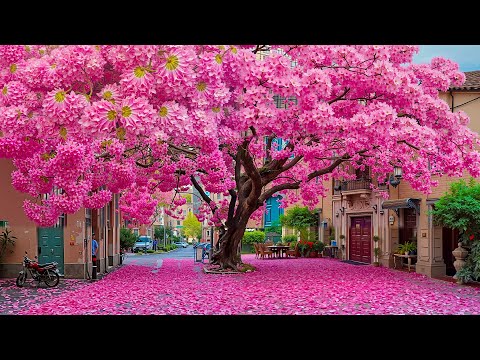 Видео: Музыка лечит сердце и сосуды🌿 Успокаивающая музыка восстанавливает нервную систему,расслабляющая #75