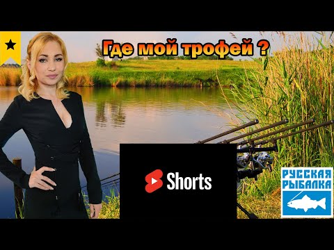 Видео: Отдыхаем на рыбалочке!!)) Девушка стримит РР4:))shorts стрим.