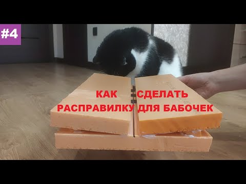 Видео: Энтомология для новичков #4. Как сделать расправилку для бабочек