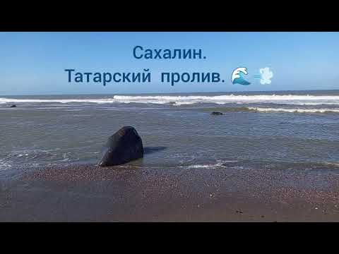 Видео: 28.08.2025. Сахалин. Татарский пролив. Дует северный ветер. 💨🌊