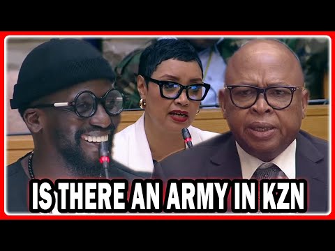 Видео: Эшли Солс задаёт вопросы депутату Матале: «Вы говорите, что не согласны с доводами министра Мчуну»