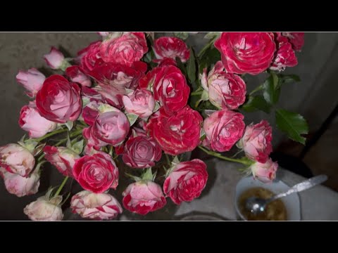 Видео: ГОТОВЛЮ УЖИН В ДУХОВКЕ , ОБЫЧНЫЙ ВЕЧЕР В КРУГУ ЛЮБИМЫХ 💞