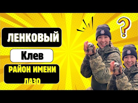 Видео: Горная рыбалка. Закрытие сезона жидкой воды. Ленковая атака. Октябрь 2025. 