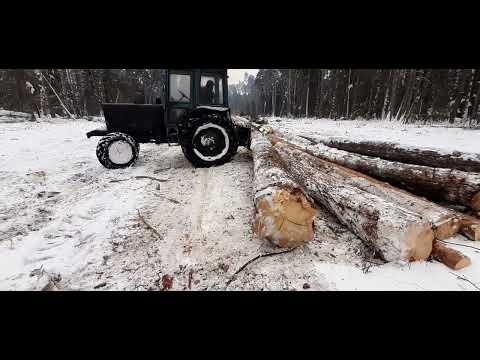 Видео: Второй Зверь МТЗ ВЕРНУЛСЯ В СТРОЙ! Валка леса Stihl 361! МТЗ-82 трелёвка!....