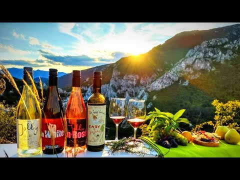 Видео: Веселите Винари „The Jolly Vintners“: мястото, където виното има история, а хората - душа